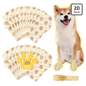 Disposable dog booties