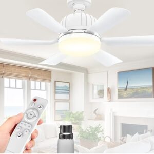 Celling fan light bulb